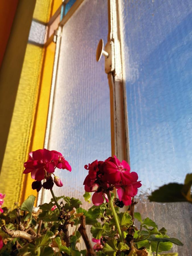 B&B Ad Quintum Torino Collegno Εξωτερικό φωτογραφία